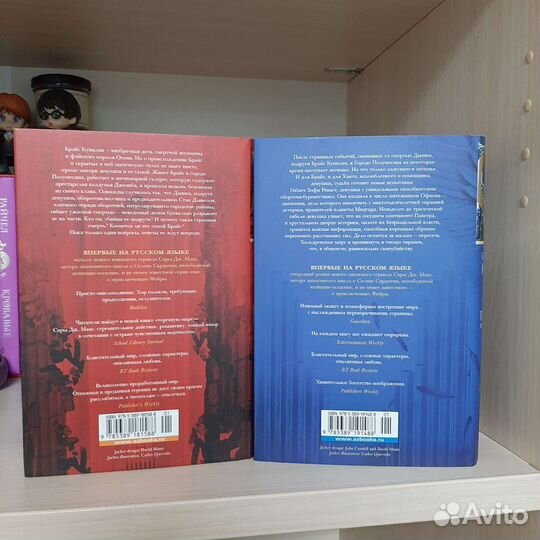 Набор Сара Маас 