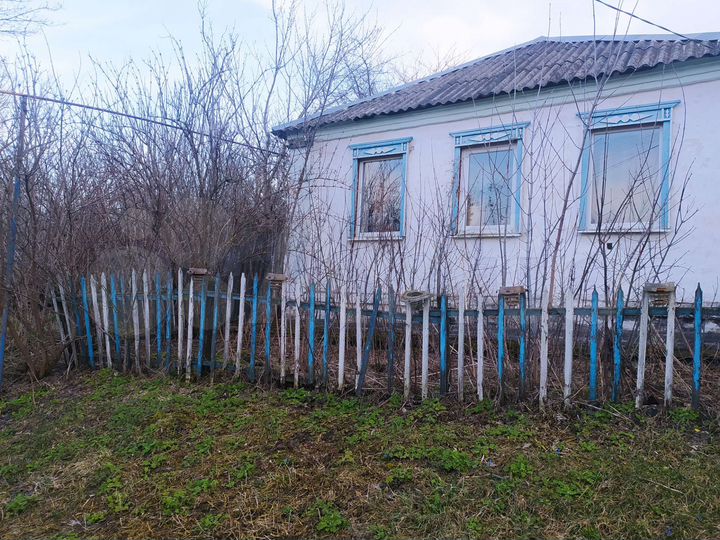 Дом 44 м² на участке 43 сот.