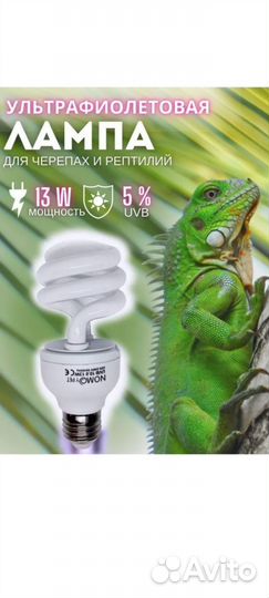 Ультрафиолетовая лампа