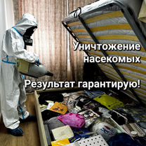 Дезинфекция тараканов,клопов,плесени травля клещей, Апрелевка
