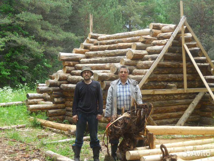 Разбор бревенчатого дома и сборка на новом месте