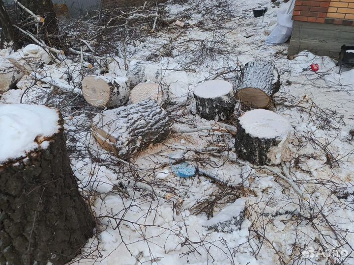 Дрова березовые чурками