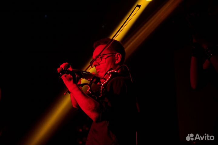 Скрипка на праздник