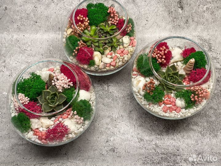 Флорариум. Подарок