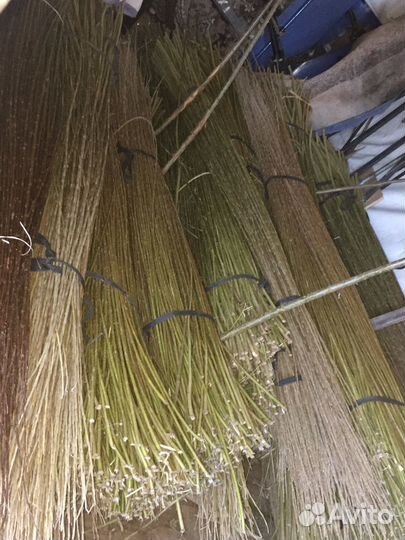 Редкие растения для сада