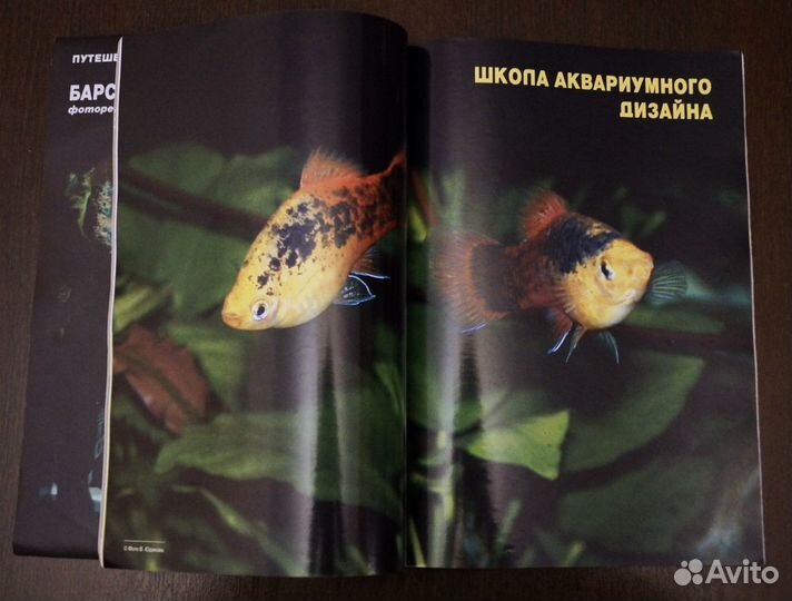 Журнал Aquarium magazine 2004 года