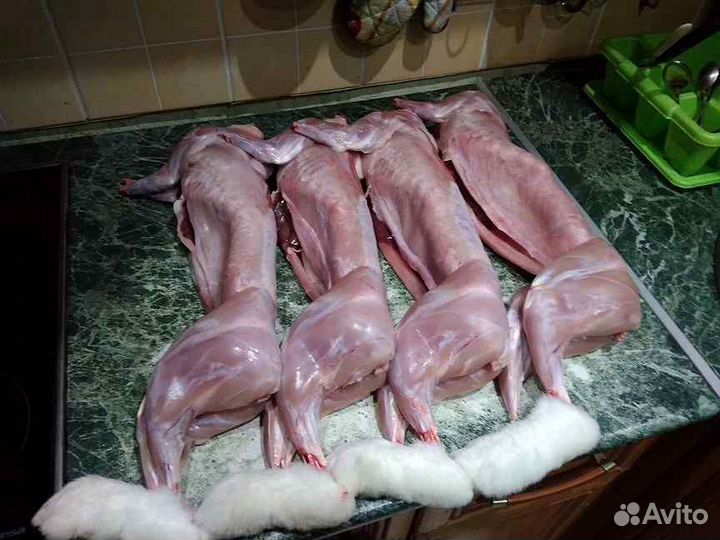 Мясо кролика