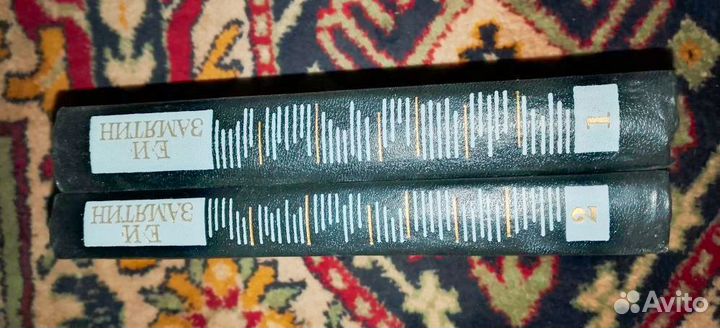 Е. И. Замятин