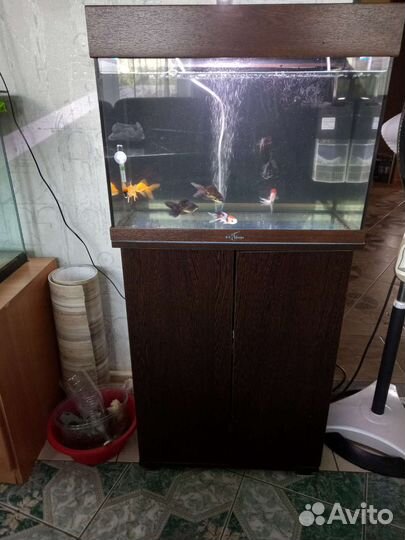 Аквариум 60л фильтр, золотые рыбки