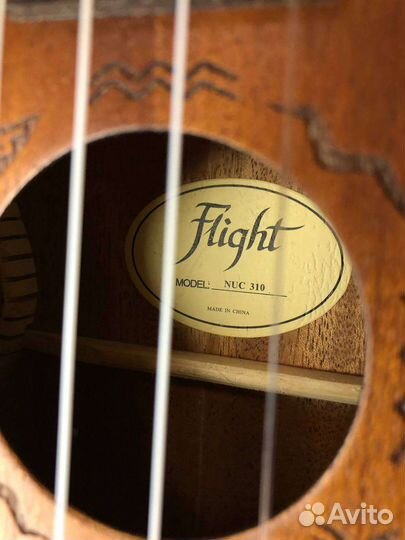 Укулеле flight концерт