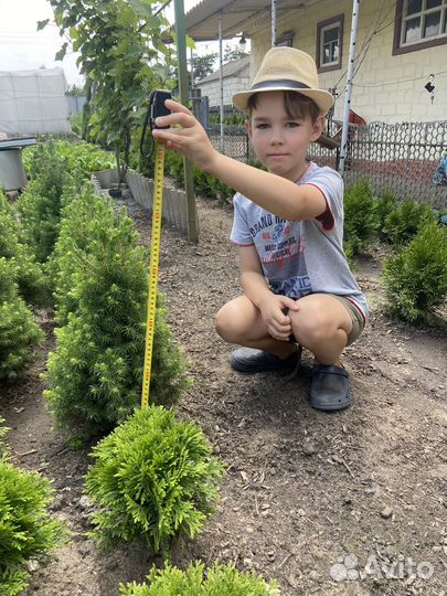 Редкие растения для сада