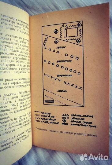 Календарь Сибирского садовода 1983г