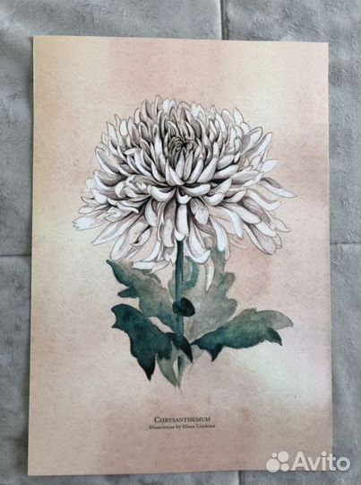 Постер, иллюстрация, принт