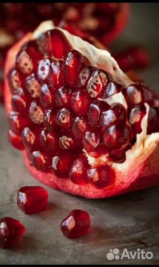 Гранат уличный плодовый