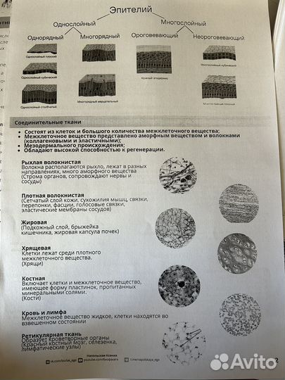 Конспекты ЕГЭ биология