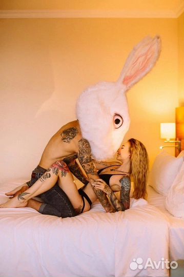 Заяц Кролик белый аренда костюма Красноярск
