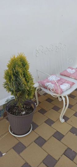 Комната 14 м², 1/2 эт.