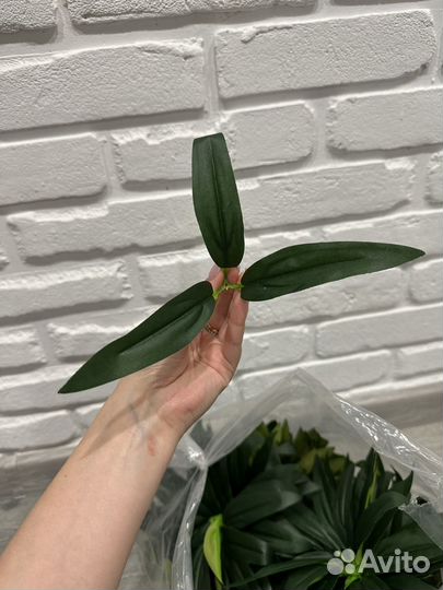 Лист тюльпан тройной искуственная зелень