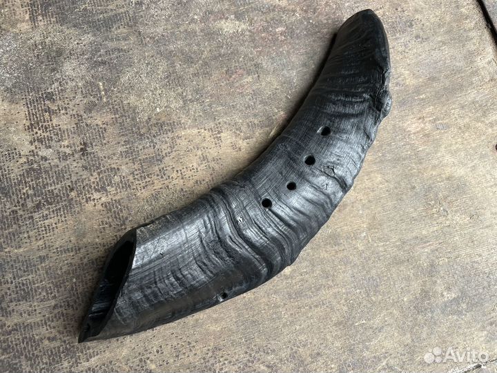 Буккехорны (Bukkehorn ) из рога козла