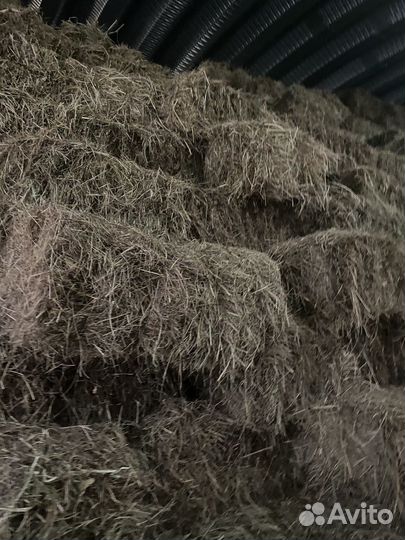 Сено в брикетах