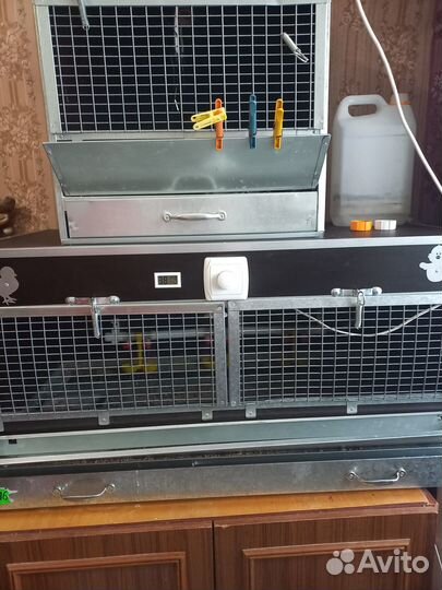 Продаю брудер