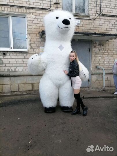 Белый и бурый мишка на поздравление