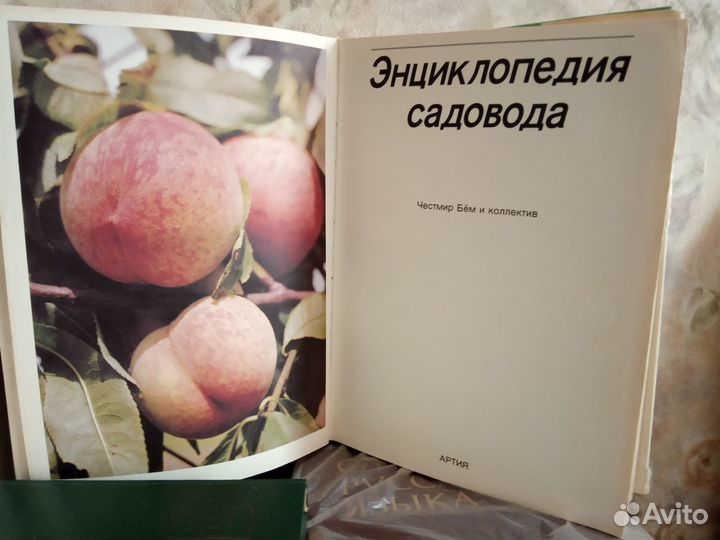 Книга - Энциклопедия садоводства (1987 г.изд.)