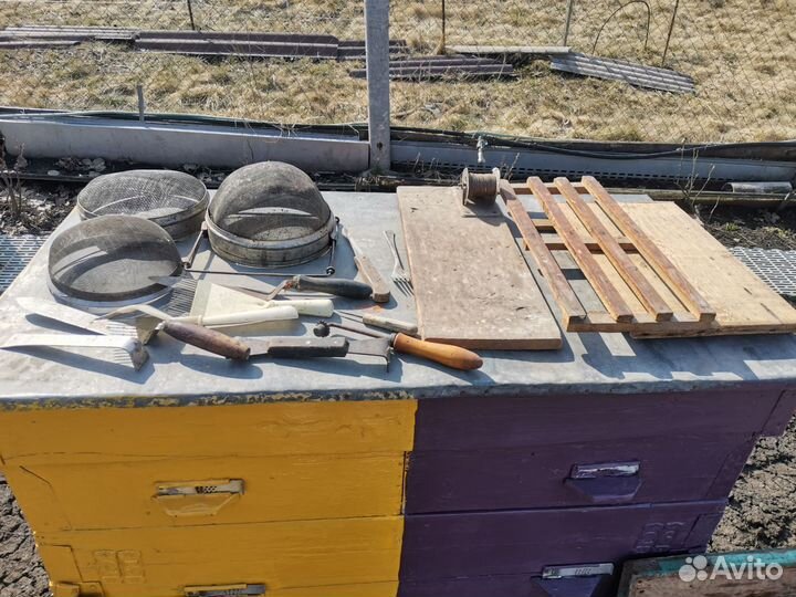 Продам пасеку