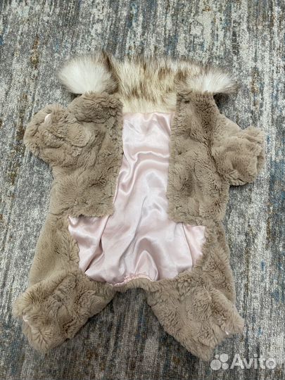 Одежда для собак мелких пород