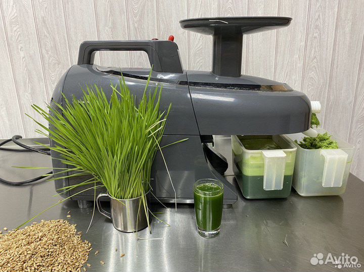 Витграсс - сок из ростков пшеницы