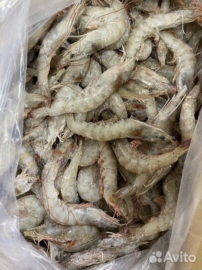 Креветка королевская размер 40-50 штук в 1 кг
