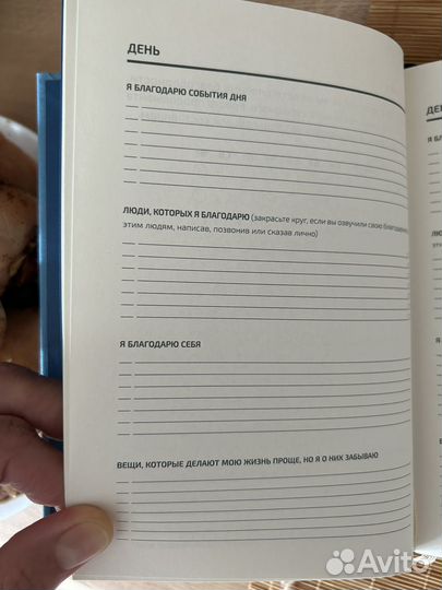 Ежедневники Веденеевой