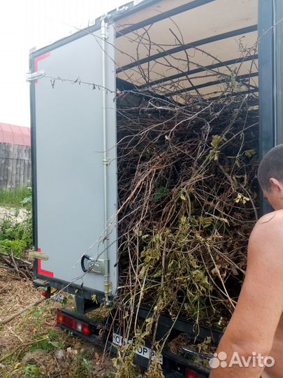 Грузчики / Разнорабочие / Переезды / Вывоз мусора