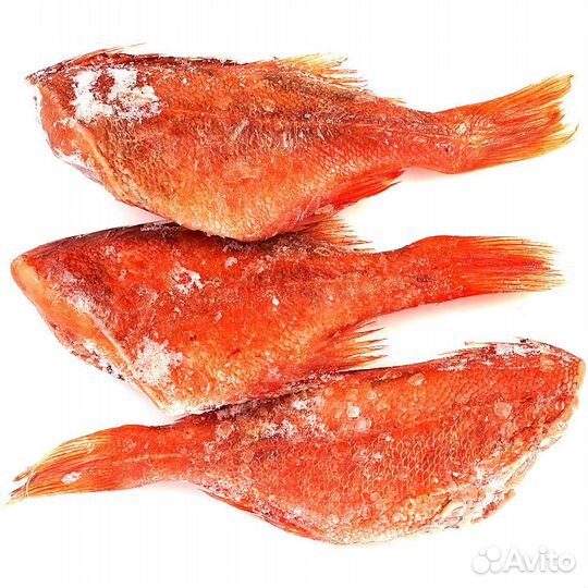Морепродукты Оптом