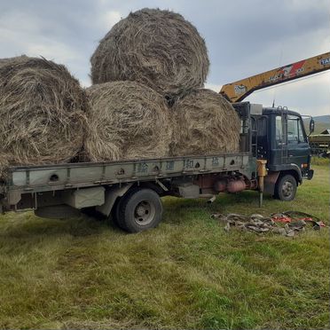 Продам сено в рулонах