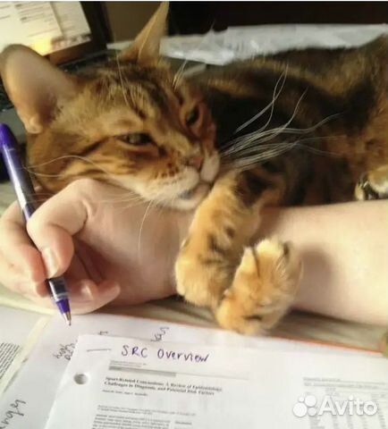 Помощь с решением домашнего задания