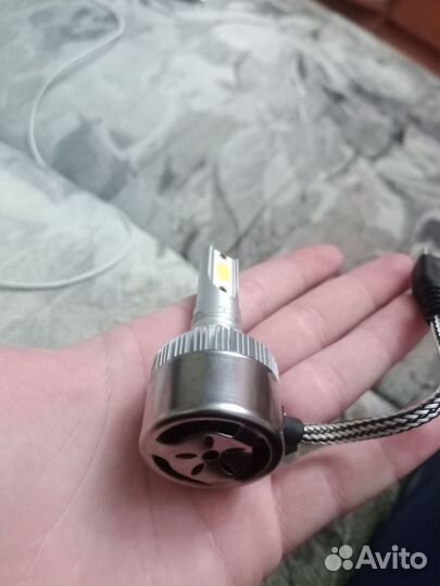 Лампочка C6 h7