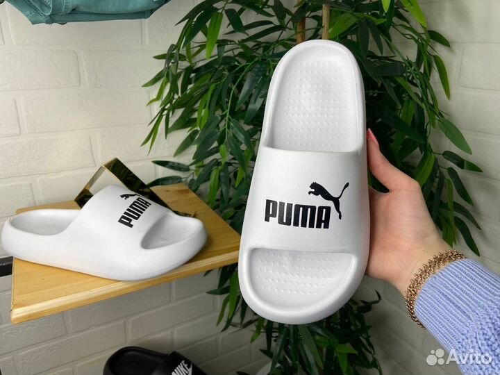 Шлепанцы Puma 41,42,43,44 новые