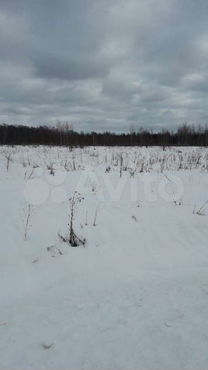 Участок 33 сот. (ИЖС)