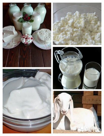 Козье молоко.сыр.творог.йогурт
