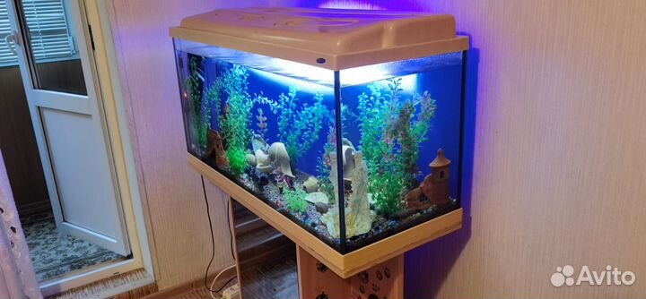 Аквариум