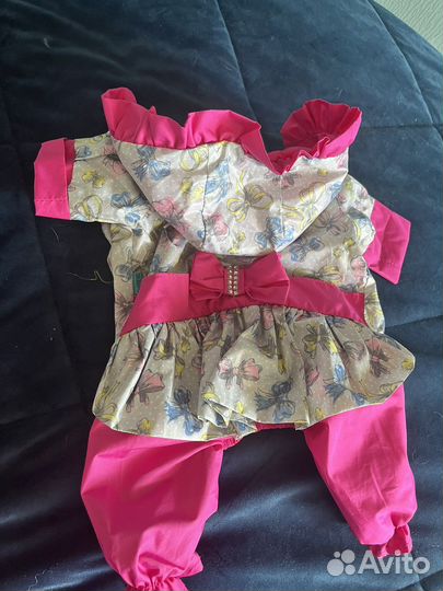 Костюм для собаки