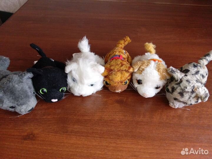 Котята The cat collection, цена за всех