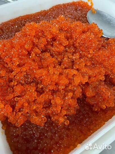 Красная икра 2023