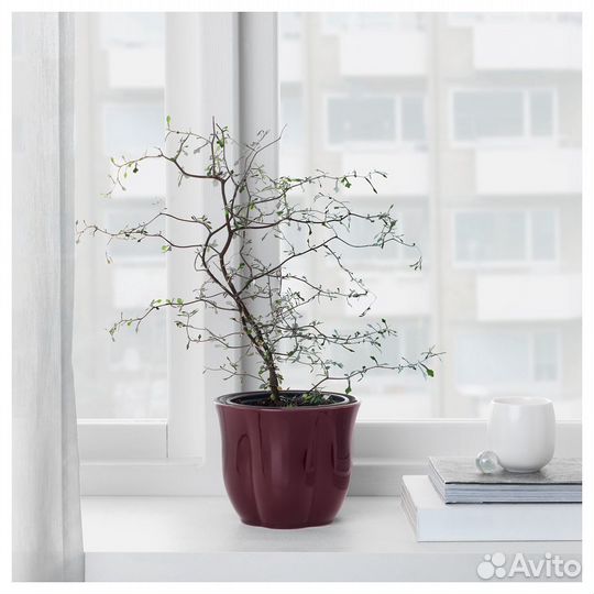 Новое кашпо, IKEA