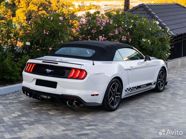 Аренда прокат Ford Mustang белоснежный с полосами