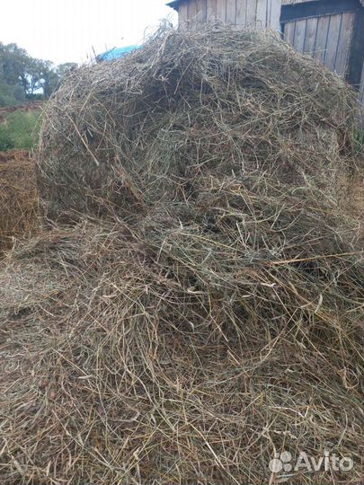 Сено в рулонах