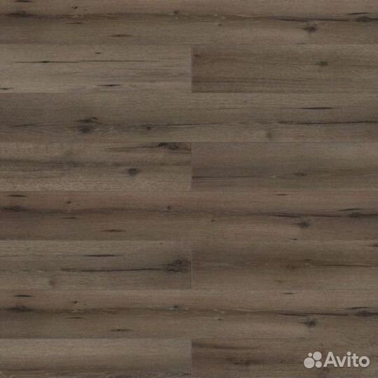 51959 Дуб Альтани, планка 33 класс