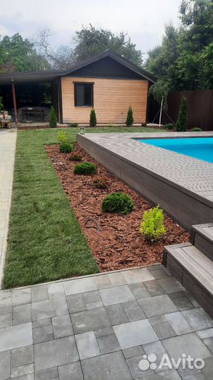 Рулонный газон под ключ