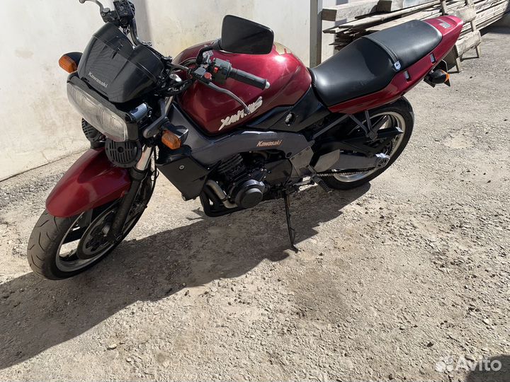 Kawasaki xanthus